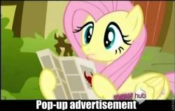 Size: 633x403 | Tagged: safe, edit, edited screencap, screencap, fluttershy, iron will, pegasus, pony, g4, putting your hoof down, season 2, female, folded wings, hoof hold, hub logo, image macro, impact font, logo, mare, pamphlet, paper, pink hair, pink mane, teal eyes, text, the hub, wings, yellow body, yellow coat, yellow fur, yellow pony, yellow wings