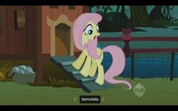 Size: 1280x800 | Tagged: safe, screencap, fluttershy, g4, my little pony: friendship is magic, stare master, ei, hub logo, terrorist, youtube caption