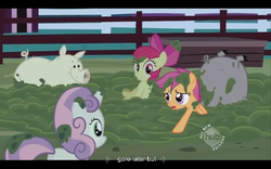 Size: 640x400 | Tagged: safe, edit, edited screencap, screencap, apple bloom, scootaloo, sweetie belle, earth pony, pegasus, pig, pony, unicorn, family appreciation day, g4, caption, cutie mark crusaders, female, filly, text, youtube caption