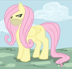 Size: 650x618 | Tagged: safe, fluttershy, pegasus, pony, g4, beard, butterscotch, facial hair, flutterguy, male, rule 63, solo, stallion