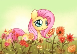 Size: 1000x700 | Tagged: safe, artist:solar-slash, fluttershy, pegasus, pony, g4, female, flower, solo