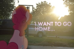 Size: 1500x994 | Tagged: safe, artist:oppositebros, pinkie pie, earth pony, pony, g4, car, depressed, irl, photo, ponies in real life, sad, sitting, solo, sun, sunlight, tree, van, yard