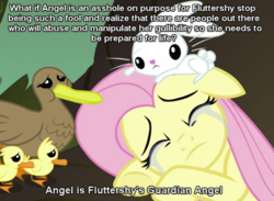 Size: 655x480 | Tagged: safe, angel bunny, fluttershy, g4, headcanon, meta