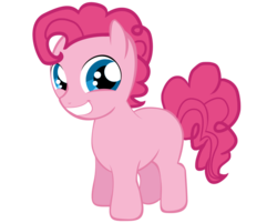 Size: 900x724 | Tagged: safe, artist:icedroplet, part of a set, pinkie pie, earth pony, pony, g4, adoraberry, bubble berry, colt, colt bubble berry, cute, foal, grin, looking at you, male, rule 63, rule63betes, simple background, smiling, smiling at you, solo, standing, transparent background, vector, younger