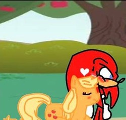 Size: 344x327 | Tagged: safe, artist:kaiamurosesei, applejack, g4, appleknux, crossover, crossover shipping, female, interspecies, knuckles the echidna, love, male, shipping, sonic the hedgehog (series), straight