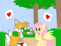 Size: 960x720 | Tagged: safe, artist:kaiamurosesei, fluttershy, g4, crossover, crossover shipping, female, fluttertails, interspecies, love, male, miles "tails" prower, shipping, sonic the hedgehog (series), straight