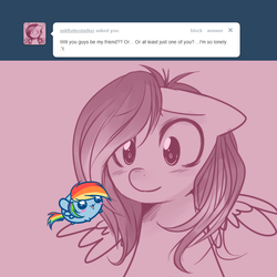 Size: 800x800 | Tagged: safe, artist:pekou, fluttershy, rainbow dash, pegasus, pony, ask my little chubbies, g4, ask, chubbie, cute, dashabetes, flutterstalker, shyabetes, tumblr