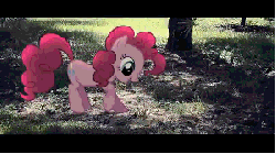 Size: 300x168 | Tagged: safe, artist:oppositebros, pinkie pie, earth pony, pony, g4, animated, behaving like a dog, cute, diapinkes, digging, grass, ground, irl, photo, ponies in real life, puppy pie, scratching