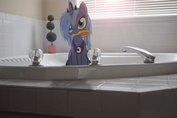 Size: 2464x1632 | Tagged: safe, artist:oppositebros, princess luna, alicorn, pony, g4, bathtub, brush, brushie brushie, cute, female, irl, lunabetes, mare, photo, ponies in real life, s1 luna, solo, vector, woona