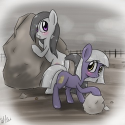 Size: 900x900 | Tagged: safe, artist:silbersternenlicht, limestone pie, marble pie, earth pony, pony, g4, duo, pie sisters, sisters