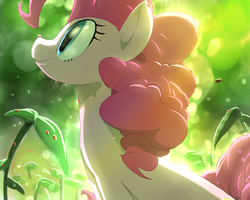 Size: 1280x1024 | Tagged: source needed, safe, artist:sunibee, pinkie pie, earth pony, ladybug, pony, g4, female, glowing, solo