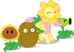 Size: 1280x907 | Tagged: artist needed, safe, fluttershy, pegasus, pony, g4, :i, crossover, cute, eyes closed, flower, flower costume, peashooter, plants vs zombies, shyabetes, smiling, sunflower, sunflower (plants vs zombies), wall-nut