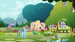Size: 1366x768 | Tagged: safe, screencap, fluttershy, rainbow dash, tank, g4, may the best pet win, youtube, youtube caption