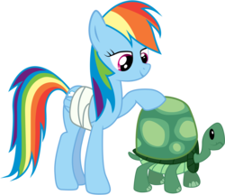 Size: 3500x3022 | Tagged: safe, artist:joey, rainbow dash, tank, pegasus, pony, tortoise, g4, may the best pet win, duo, high res, simple background, transparent background, vector