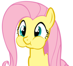 Size: 11132x10000 | Tagged: safe, artist:danton-damnark, fluttershy, pony, g4, stare master, absurd resolution, aweeg*, cute, female, holding breath, puffy cheeks, simple background, solo, transparent background, vector