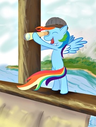 Size: 600x800 | Tagged: safe, artist:subjectnumber2394, rainbow dash, pony, g4, bipedal, ship, solo, telescope
