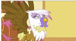 Size: 651x355 | Tagged: safe, screencap, gilda, griffon, g4, griffon the brush off, my little pony: friendship is magic, season 1, facial hair, moustache