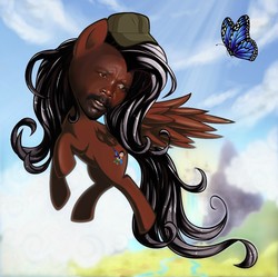 Size: 900x895 | Tagged: safe, edit, butterfly, pegasus, pony, flying, hat, human facial structure, joseph kony, male, ponified, solo, stallion