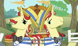 Size: 594x350 | Tagged: safe, screencap, flam, flim, g4, the super speedy cider squeezy 6000, flim flam brothers, hub logo, youtube caption