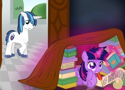 Size: 1400x1000 | Tagged: safe, artist:koolestkitty, shining armor, twilight sparkle, g4, book fort, filly, insanity