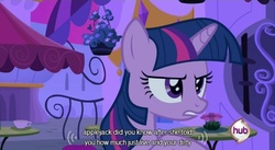 Size: 640x350 | Tagged: safe, screencap, twilight sparkle, pony, unicorn, a canterlot wedding, g4, my little pony: friendship is magic, canterlot, cup, flower, hub logo, implied applejack, logo, night, solo, table, the hub, youtube caption