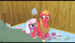Size: 1272x742 | Tagged: safe, edit, edited screencap, screencap, big macintosh, cheerilee, earth pony, pony, g4, hearts and hooves day (episode), caption, clothes, female, hearts and hooves day, male, mare, pants, stallion, text, youtube caption