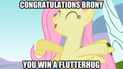 Size: 625x351 | Tagged: safe, fluttershy, g4, bronybait, flutterhug, hug, image macro, reaction image