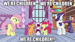 Size: 597x332 | Tagged: safe, edit, edited screencap, screencap, apple bloom, scootaloo, sweetie belle, earth pony, pegasus, pony, unicorn, g4, captain obvious, caption, carousel boutique, cutie mark crusaders, female, filly, image macro, kung pow, mare, text