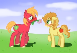 Size: 1200x831 | Tagged: dead source, safe, artist:hasana-chan, big macintosh, braeburn, earth pony, pony, g4, colt, colt big macintosh, colt on colt, cousin incest, cousins, everypony's gay for braeburn, flower, gay, incest, male, older male, ship:braemac, shipping, young, younger, younger male