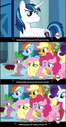 Size: 637x1229 | Tagged: safe, screencap, applejack, fluttershy, pinkie pie, rainbow dash, rarity, shining armor, spike, g4, cancer, male, stallion, youtube caption