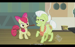 Size: 640x400 | Tagged: safe, edit, edited screencap, screencap, apple bloom, granny smith, earth pony, pony, family appreciation day, g4, broom, caption, female, filly, foal, mare, mouth hold, text, youtube caption