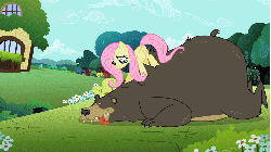 Size: 853x480 | Tagged: safe, screencap, fluttershy, harry, bear, pegasus, pony, g4, lesson zero, season 2, :p, animated, cute, duo, loop, massage, shyabetes, smiling, talking, tongue out, wavy mouth