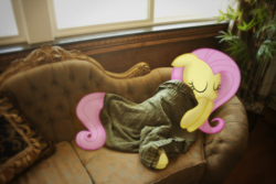 Size: 1000x667 | Tagged: safe, fluttershy, pegasus, pony, g4, blanket, couch, cute, eyes closed, irl, photo, ponies in real life, shyabetes, sleeping, smiling, solo