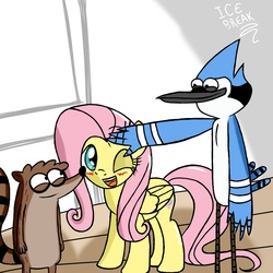 Size: 900x900 | Tagged: safe, artist:icebreak23, fluttershy, g4, crossover, male, mordecai, mordecai and rigby, regular show, rigby (regular show)