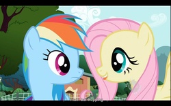 Size: 1680x1050 | Tagged: safe, screencap, fluttershy, rainbow dash, g4, may the best pet win, youtube, youtube caption