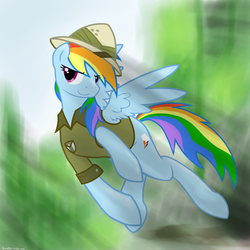 Size: 2200x2200 | Tagged: safe, artist:cymek, daring do, rainbow dash, pegasus, pony, g4, female, high res, mare, solo