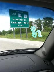 Size: 720x960 | Tagged: safe, lyra heartstrings, g4, hitchhiking, irl, meta, photo, ponies in real life