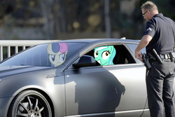 Size: 1000x667 | Tagged: safe, bon bon, lyra heartstrings, sweetie drops, earth pony, human, pony, unicorn, g4, bon bon is not amused, car, irl, irl human, photo, police, ponies in real life, vector