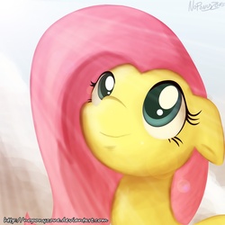 Size: 999x999 | Tagged: safe, artist:noponyzone, fluttershy, pony, g4, female, solo