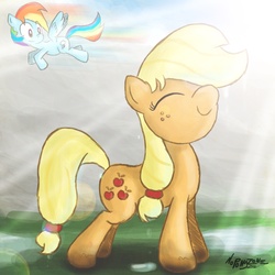 Size: 2000x2000 | Tagged: safe, artist:noponyzone, applejack, rainbow dash, g4, high res