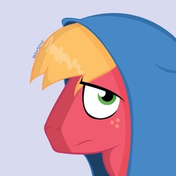 Size: 900x900 | Tagged: safe, artist:noponyzone, big macintosh, earth pony, pony, g4, clothes, hipster, hoodie, male, stallion