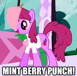 Size: 442x436 | Tagged: safe, edit, berry punch, berryshine, earth pony, pony, g4, 1000 hours in ms paint, bad edit, bradley biggle, caption, female, funny, mint berry punch, mintberry crunch, solo, south park