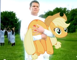 Size: 392x308 | Tagged: safe, applejack, earth pony, pony, g4, daniel tosh, funny, irl, photo, ponies in real life, vector