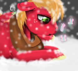 Size: 656x595 | Tagged: safe, artist:colorlesscupcake, big macintosh, fluttershy, butterfly, earth pony, pony, g4, male, sad, ship:fluttermac, shipping, snow, snowfall, solo, stallion, straight