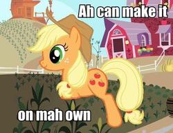 Size: 464x356 | Tagged: safe, edit, edited screencap, screencap, applejack, earth pony, pony, g4, accent, applejack's hat, caption, carrot farm, cowboy hat, female, hat, homestar runner, image macro, impact font, li'l brudder, mare, missing limb, needs more jpeg, solo, sweet apple acres, text