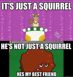 Size: 294x310 | Tagged: safe, edit, edited screencap, screencap, flying squirrel, squirrel, g4, may the best pet win, aqua teen hunger force, caption, crossover, find a pet, food, hub logo, impact font, meatball, meatwad
