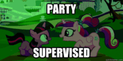 Size: 310x155 | Tagged: safe, edit, edited screencap, screencap, princess cadance, twilight sparkle, alicorn, pony, unicorn, a canterlot wedding, g4, season 2, animated, caption, female, filly, gif, gif for breezies, party, party hard, picture for breezies