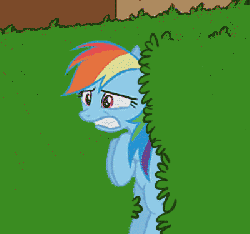Size: 400x375 | Tagged: safe, rainbow dash, g4, abandon thread, animated, female, homer loves flanders, homer simpson backs into bushes, male, the simpsons