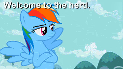 Size: 500x281 | Tagged: safe, edit, edited screencap, screencap, fluttershy, rainbow dash, g4, may the best pet win, animated, duo, female, flying, hoof around neck, welcome, welcome to the herd
