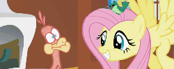 Size: 500x200 | Tagged: safe, screencap, fluttershy, philomena, hummingbird, pegasus, phoenix, pony, a bird in the hoof, g4, season 1, animated, cute, eww, female, flapping, flying, funny, grin, gross, mare, shyabetes, smiling, trio, vomit